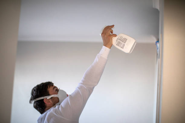 Best Same-Day Mold Removal  in Chester, IL