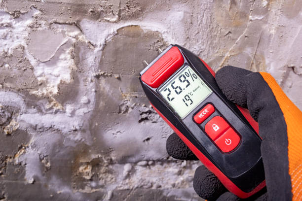 Best Mold Testing  in Chester, IL
